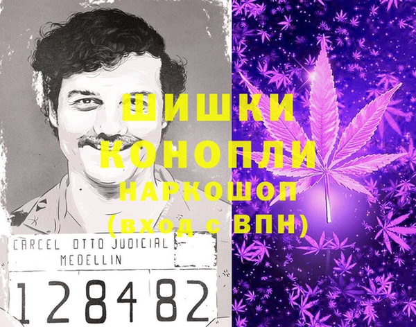 метадон Новодвинск