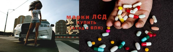 прущие грибы Новозыбков