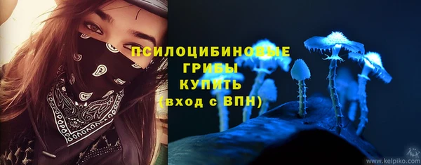 СК Новокубанск