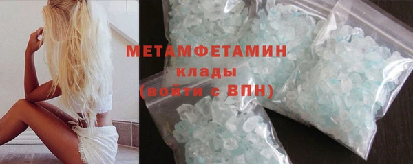 прущие грибы Новозыбков