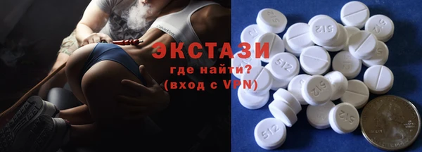 прущие грибы Новозыбков