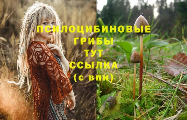 прущая мука Кукмор