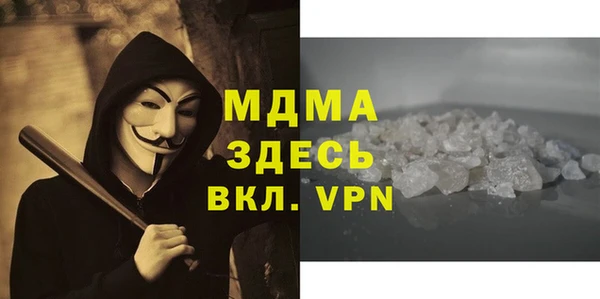 прущие грибы Новозыбков