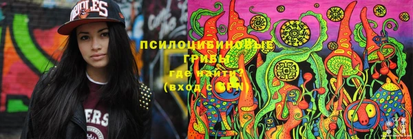 метадон Новодвинск