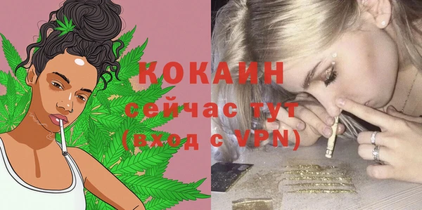 метадон Новодвинск