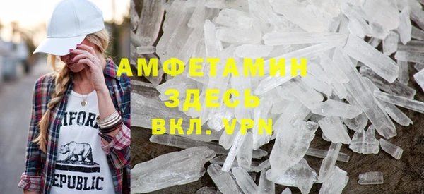 прущие грибы Новозыбков