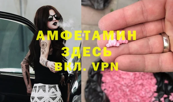 прущие грибы Новозыбков