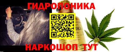 каннабис Аргун