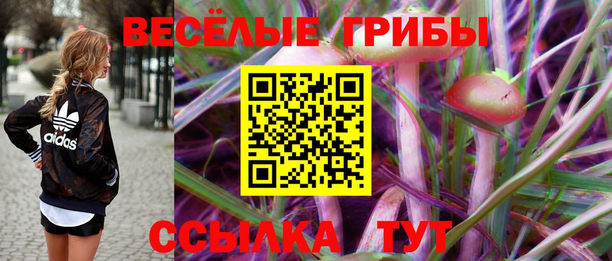 Псилоцибиновые грибы Magic Shrooms Балабаново