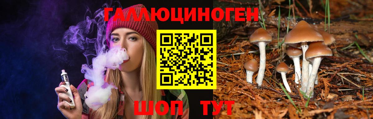 продажа наркотиков  Балабаново  Псилоцибиновые грибы ЛСД 